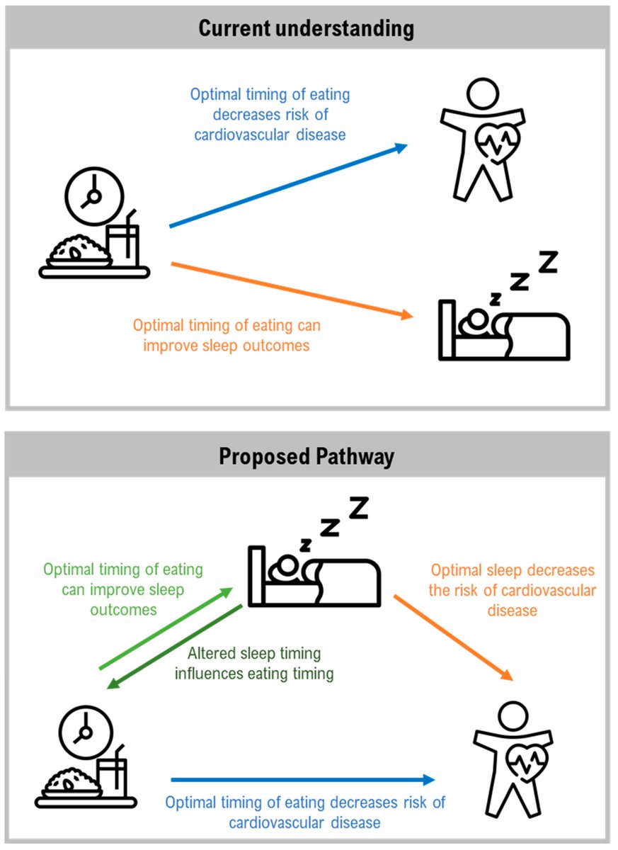 Nutrients_MDPI's tweet photo. Editor’s Choice Articles🔍
🛎️"A Time to Rest, a Time to Dine: Sleep, Time-Restricted Eating, and Cardiometabolic Health" by Dr. Charlotte C Gupta et al. @MacaFernandez07 @_MCRicardo_ @EMantzioris @cc_gupta @drdeanjmiller @AlexAgostini3 @Sleep20746524
👉https://t.co/eB7MsbloTw https://t.co/Qyh69qZmGM