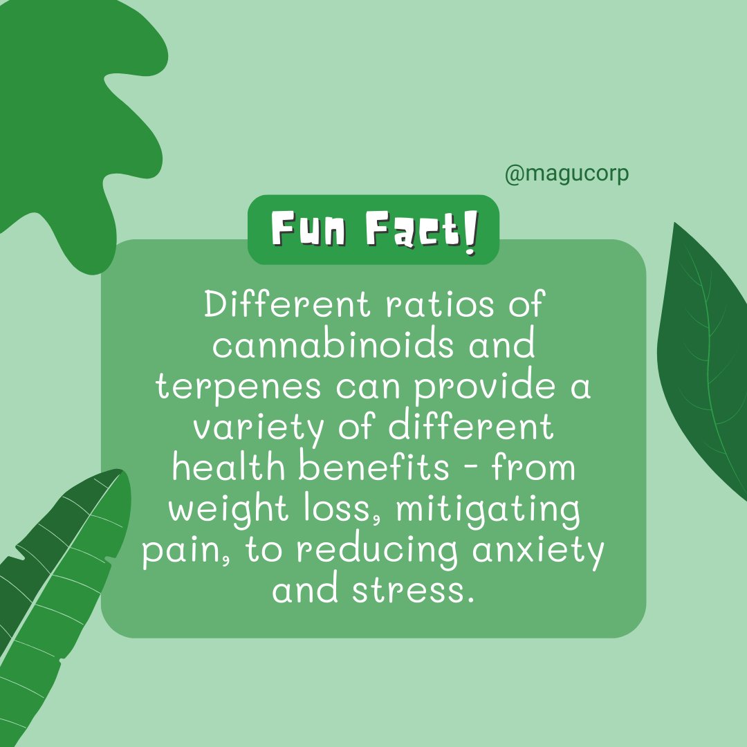 magucorp's tweet photo. Hemp health perks? Simply awesome! 🌞
#Hemp #Wellness #NaturalRemedies https://t.co/f9URd9RJEn