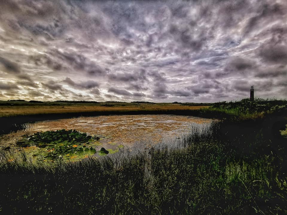 BULLRetrurn's tweet photo. Goeie morgen, nieuwe dag nieuwe ronde nieuwe kansen. Vandaag alleen op pad. Eens kijken of me dat lukt met dit wereld wonder van een walking floor #Proeftrailer #oudijzer https://t.co/fwcniYLG1w