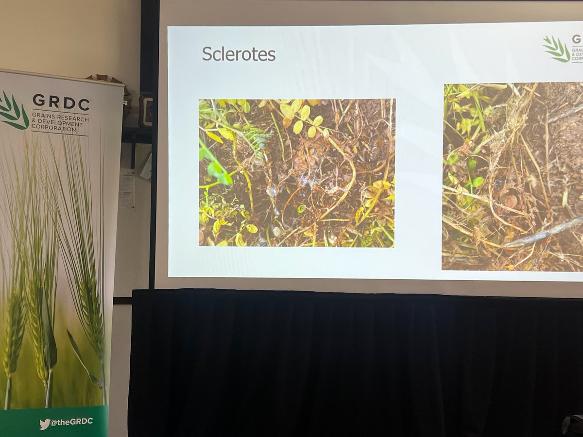 GRDC South tweet media