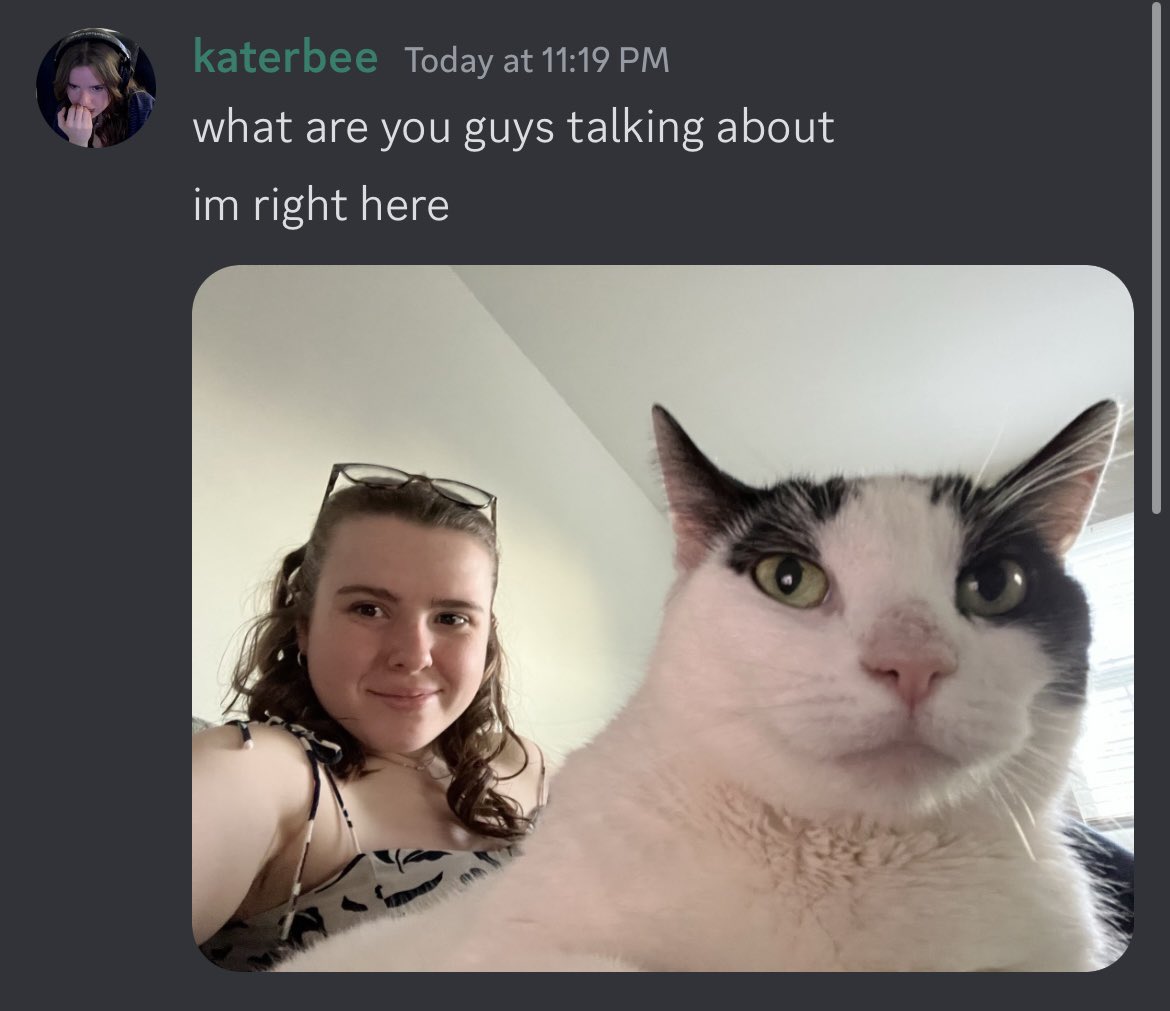 katerbee's tweet photo. my chat thinks i'm dead https://t.co/B0oklB37ye