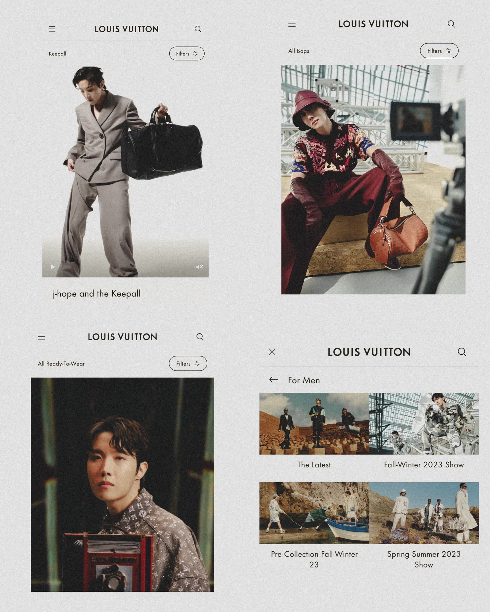 louis vuitton website design