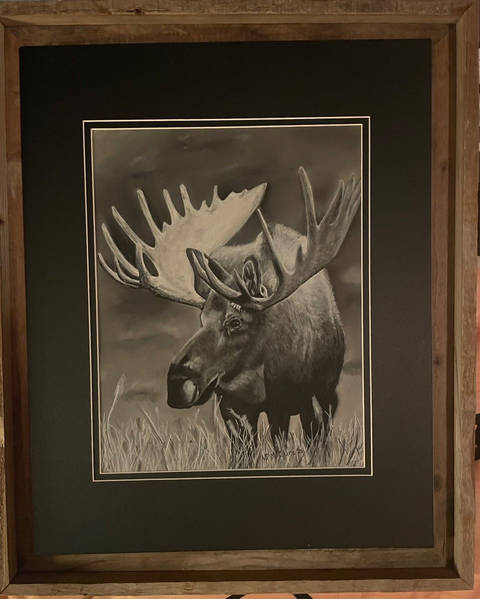 Original 11x14 Maine Moose Charcoal Drawing with 16x20 frame. Hand drawn with black/white charcoal. For Sale -$900. 
Contact me for requests/quotes for commissioned projects.