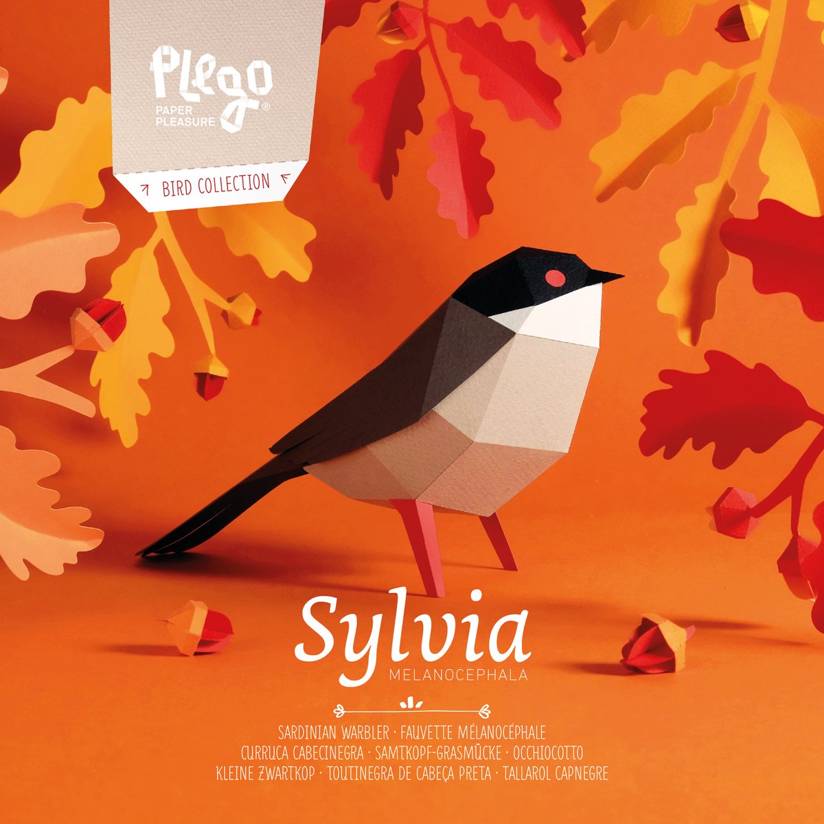 plegopaper's tweet photo. Et presentem la darrera incorporació de la família Plego: el Tallarol capnegre (Sylvia melanocephala).
#tallarolcapnegre #sylviamelanocephala #creative #paperdesign #homedecor #bird #foldinginlove #warbler #sardinianwarbler #plego #plegopaper #papermodel #paperpleasure https://t.co/SlVX1Dd5Cd