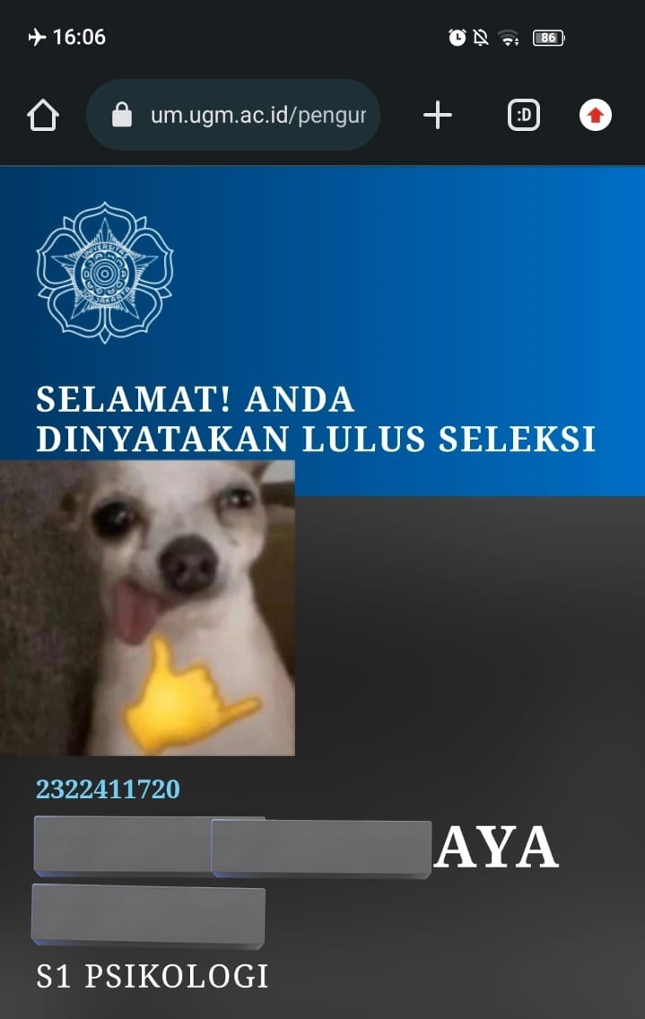 safira tweet media