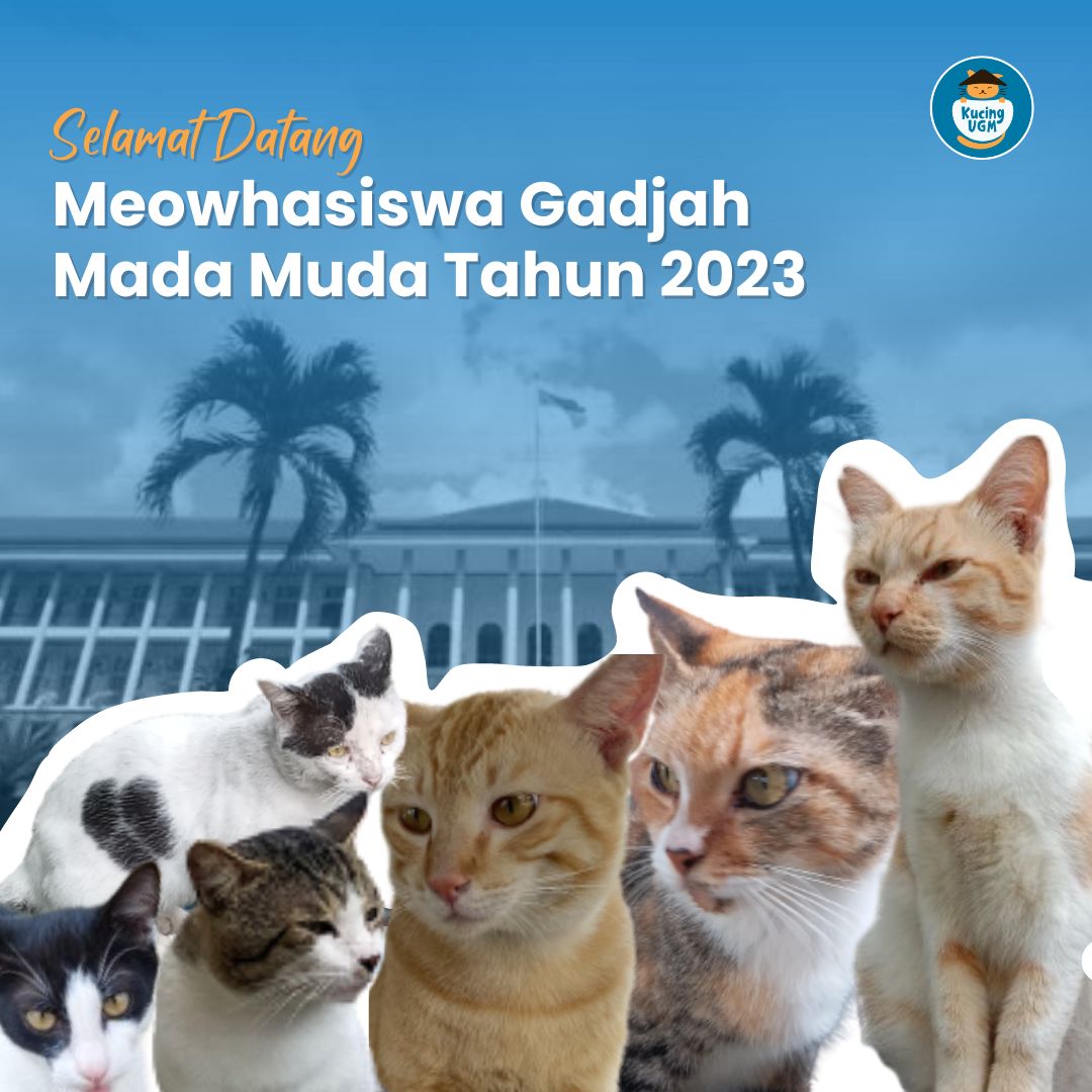KUCING UGM tweet media