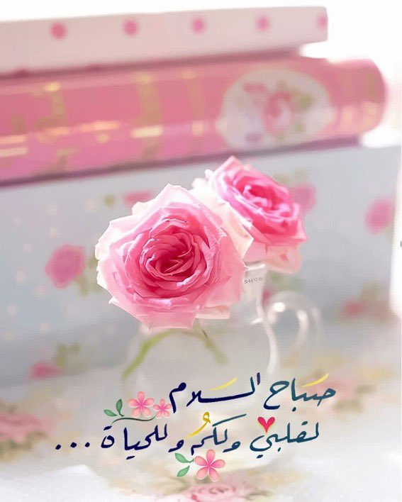 zawraq123's tweet photo. https://t.co/dlUcYgIFqB