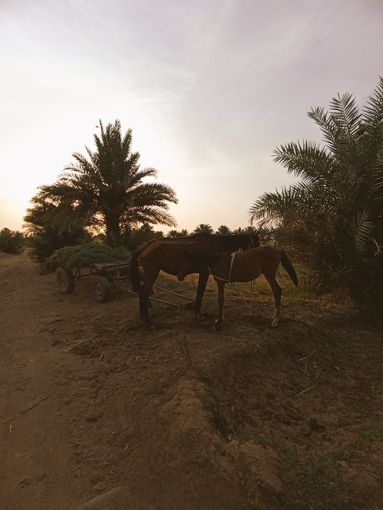 leezaisme's tweet photo. محطة الوطن الكبير كانت تضج متحضرة https://t.co/OLPaHBrydv