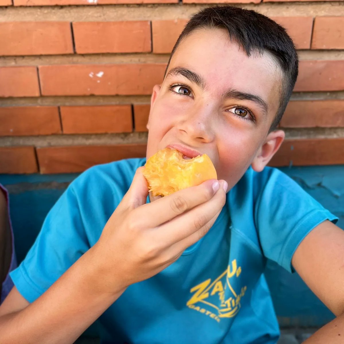 Campus Baden tweet media