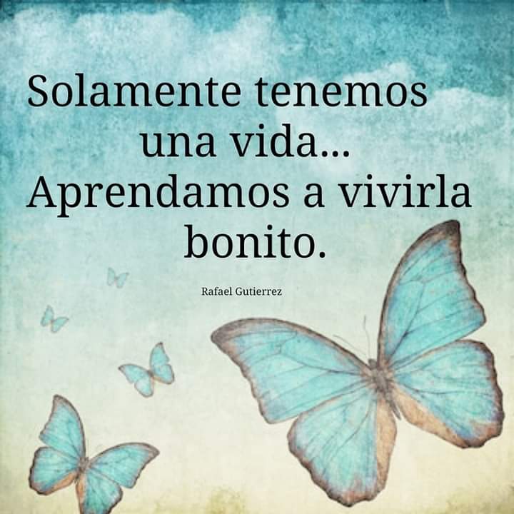 VidaEquilibrada (@vidaequilibrad4) on Twitter photo 
