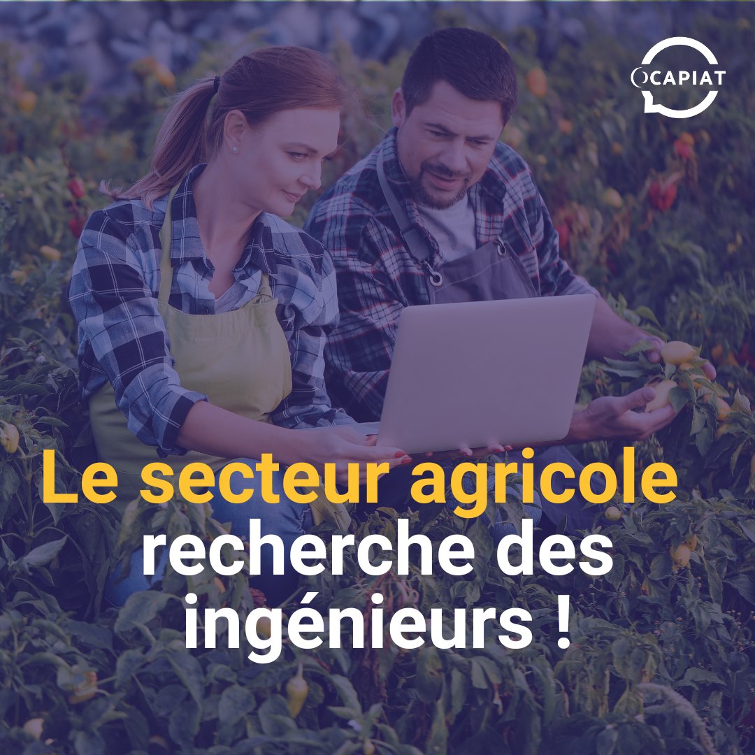 [Recrutement]

🌾Les coopératives agricoles recherchent des ingénieurs agricoles ! Formez vous en alternance aux métiers ingénierie du secteur de l'agriculture.

#agriculture #ingénieur #formation #alternance #recrutement #opco