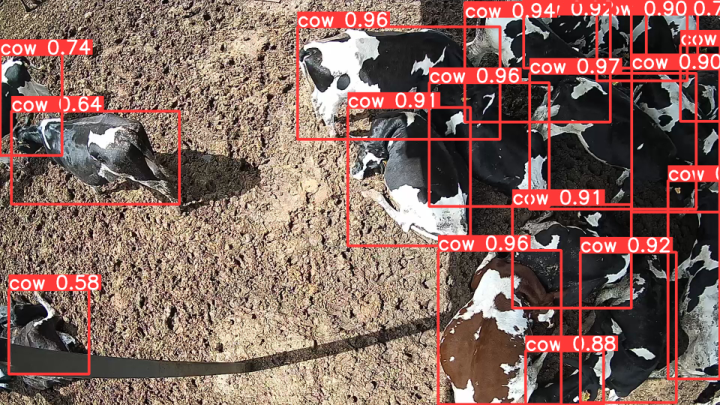 feresbar7's tweet image. Aprovechando la ola de calor (🥵) arrancamos experimento del proyecto @ReLivestock evaluando el uso de sombras en novillas utilizando #ganaderíadeprecisión. Agradecer a @DeepFarmTech por la tecnología y facilitar las cosas tanto!
