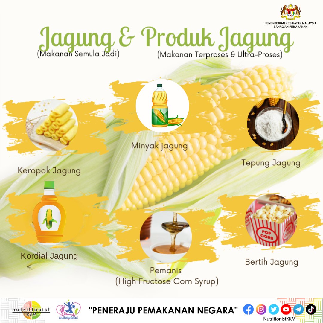 Kandungan nutrisi yang terdapat dalam 1 tongkol sederhana jagung ,
- Tenaga : 154 kcal
- Karbohidrat : 30 g
- Protein : 9.2 g
- Lemak : 4.6 g
- Serat : 1 g

Terdapat juga zat fosforus dan kalium dalam jagung yang baik untuk saraf dan mengawal keseimbangan bendalir badan.