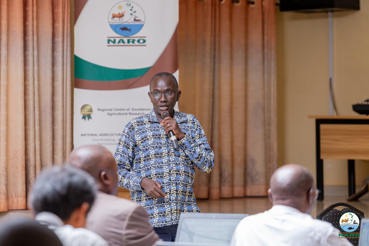 narouganda's tweet photo. Yesterday our breeding teams made presentations to the 44th sitting of the National Variety Release Commiittee held @NaroKawanda.

A total of two maize, two sweet potato, rice and  pasture varieties developed by @narouganda scientists were vetted and approved for release. https://t.co/xFrdvfo6Tm