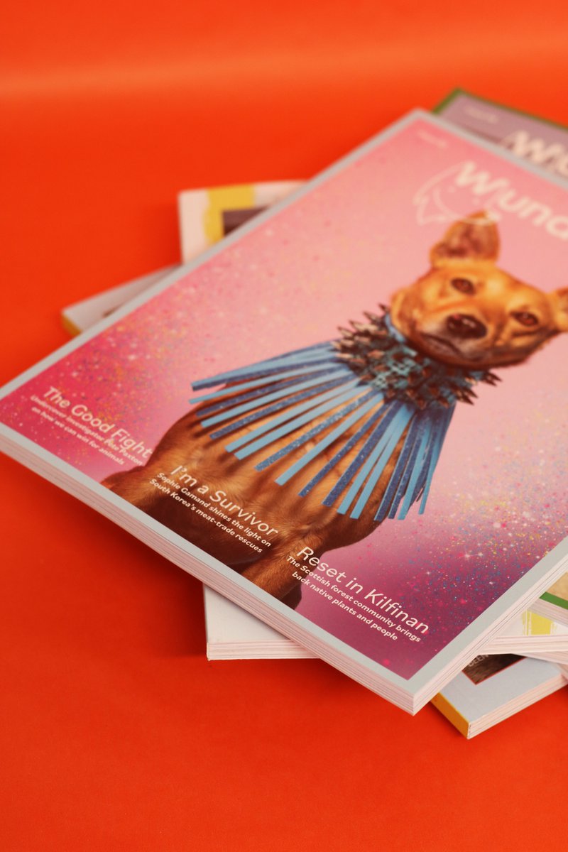Get your holiday reading sorted! Wunderdog back issues are half off now, until end of July!
Order here: wunderdogmagazine.com/product-catego…