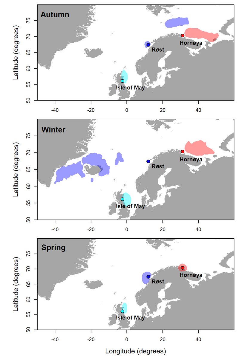 Kate Layton-Matthews (@katelm92) on Twitter photo Our new paper is out in <a href="/Ecol_Evol/">Ecology and Evolution</a>!
Using integrated population models to show how cross-season demographic correlations drive population growth rates in Atlantic puffins
A great 🇬🇧-🇳🇴 collaboration! <a href="/NINAnature/">NINAnature</a> <a href="/UKCEHseabirds/">UKCEHseabirds</a> <a href="/tonereiert/">Tone Reiertsen</a> <a href="/FrancisDaunt/">Francis Daunt</a>
doi.org/10.1002/ece3.1… Our new paper is out in <a href="/Ecol_Evol/">Ecology and Evolution</a>!
Using integrated population models to show how cross-season demographic correlations drive population growth rates in Atlantic puffins
A great 🇬🇧-🇳🇴 collaboration! <a href="/NINAnature/">NINAnature</a> <a href="/UKCEHseabirds/">UKCEHseabirds</a> <a href="/tonereiert/">Tone Reiertsen</a> <a href="/FrancisDaunt/">Francis Daunt</a>
doi.org/10.1002/ece3.1…