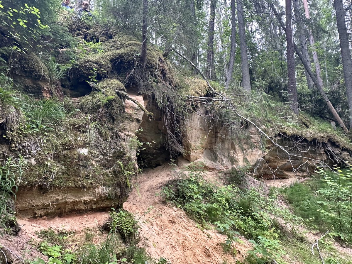 Nekad neesmu sapratis - kur rodas tik unikāli stulbeņi.