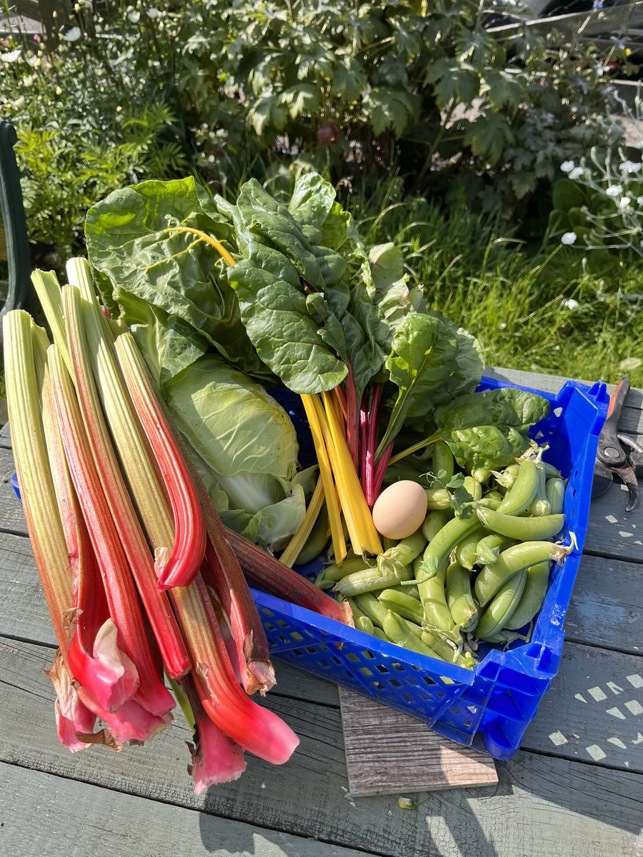 Morning! 5km in the bag, bees fed, harvesting done. Some people take cake to work, This is what my team are getting today @Gemstaffnurse <a href="/RachelDoubleday/">Rachel Doubleday RN DN QN</a> <a href="/CDDFTNHS/">County Durham and Darlington NHS Foundation Trust</a> @Denisedye12 #teesdale