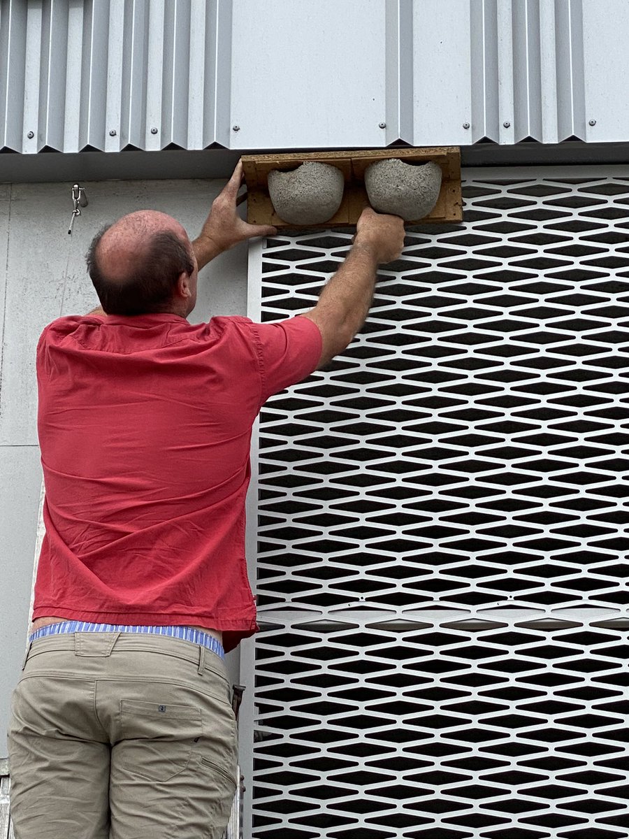 arnaud delannay tweet media