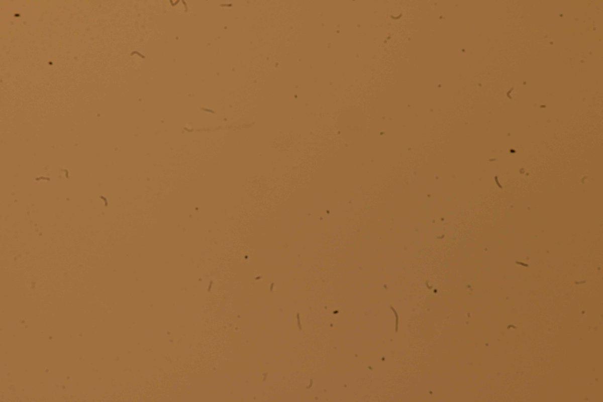 Ffordes Photography tweet media