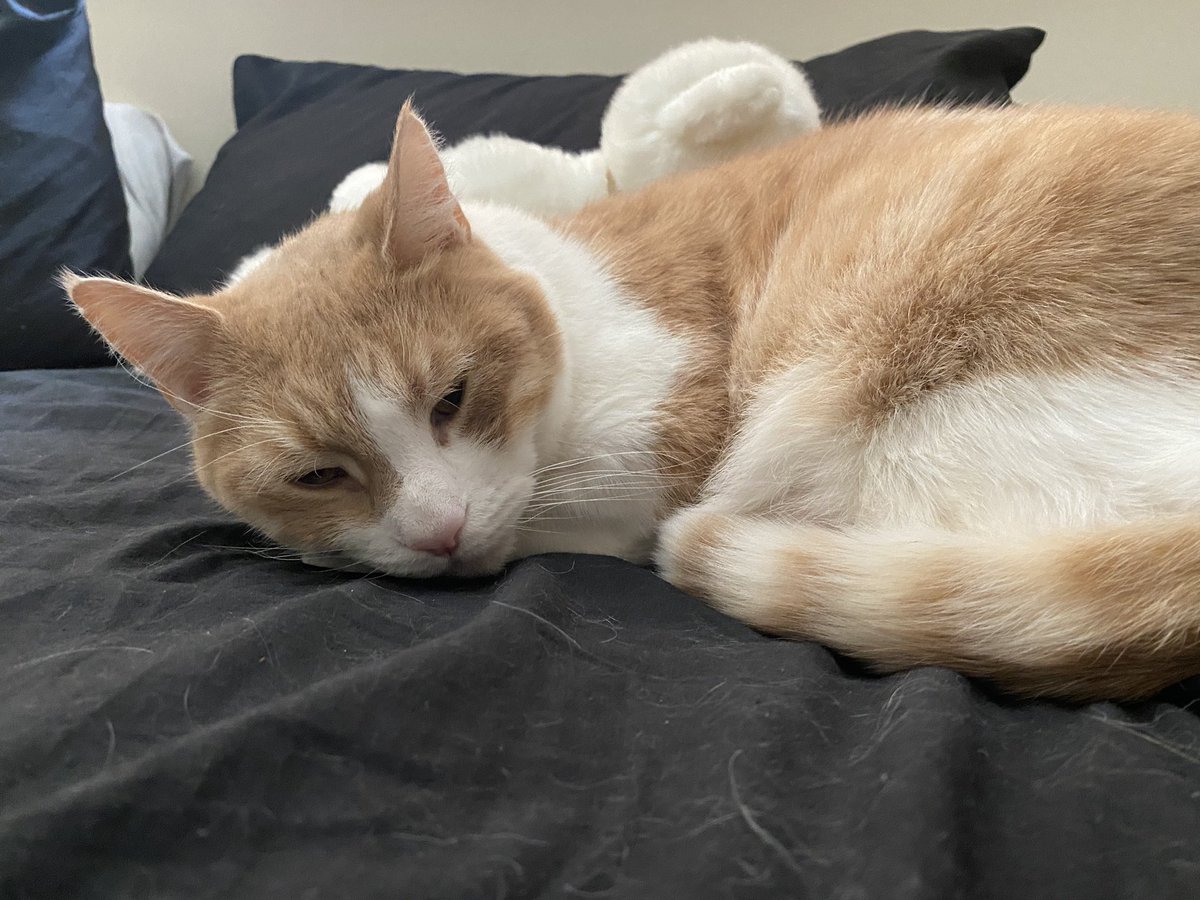 Percy👀 tweet media