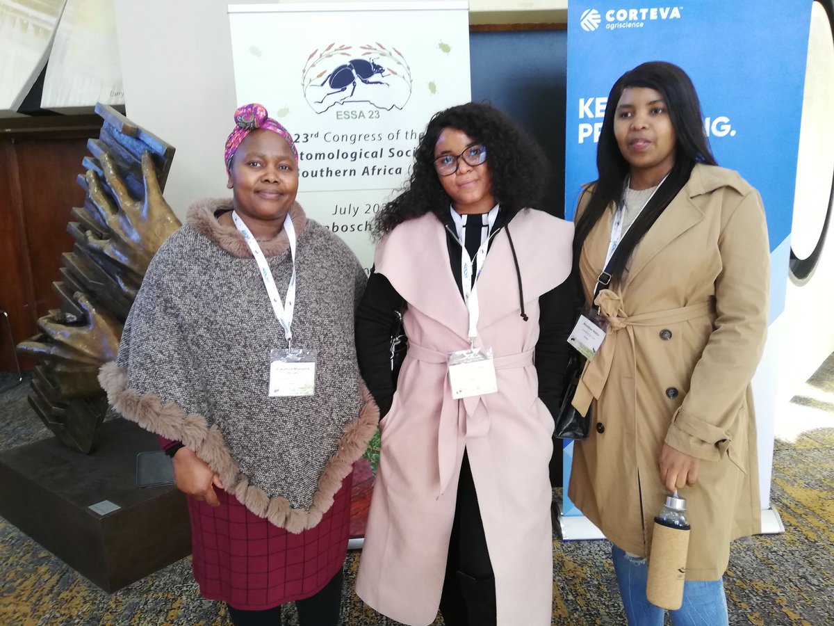 Terry Reynolds tweet media