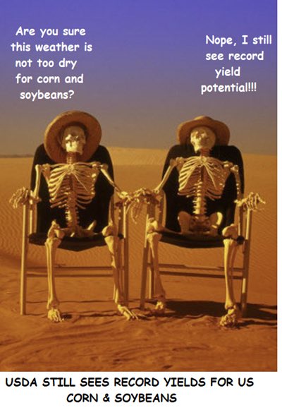 Joris_van_Veen's tweet image. #WASDE #corn #soybeans #usda
