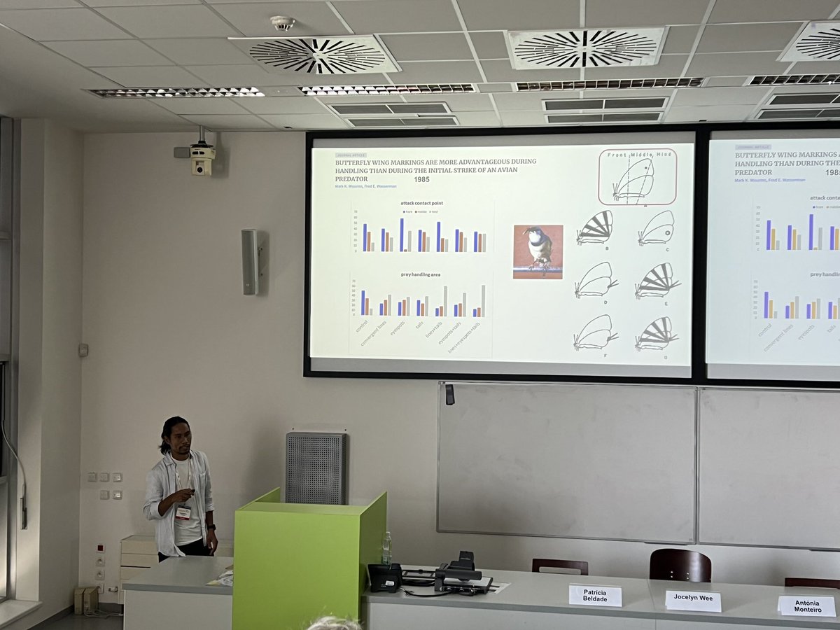 MichalBartak2's tweet photo. Great talk by @tarunyumnam about evolution of false head in butterflies, the morphology of this feature or behaviour of butterflies with false head, such as hindwing movement. #bob2023 https://t.co/BHV8FBL07X