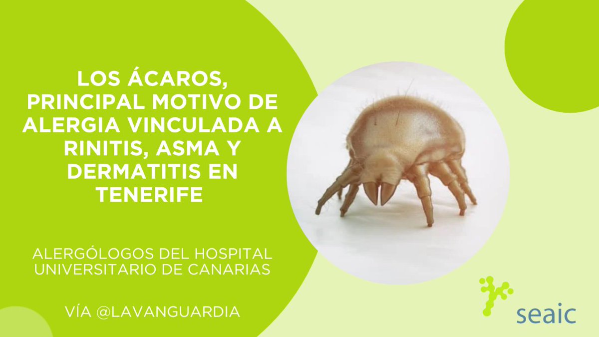 📢Atención📢🗣️
Alergólogos del Hospital Universitario de Canarias han concluido que los #ácaros son el principal motivo de #alergia vinculada a #rinitis, #asma y #dermatitis en 📍Tenerife. 

👉🏻🔗 pmsl.es/h