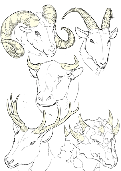 ichiup_net's tweet photo. 動物にもモンスターにも使える！ツノの描き方🐐 

ツノにはたくさんの種類があり、形や質感、その用途も様々です😉
https://t.co/dAF50qvCyu  
#絵が上手くなる記事はコレ https://t.co/evhD468Iu3