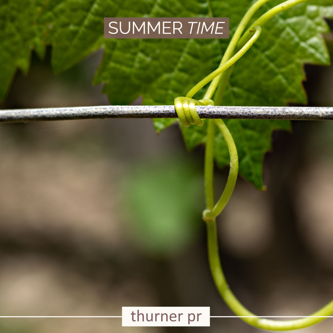 ThinkThurner tweet media