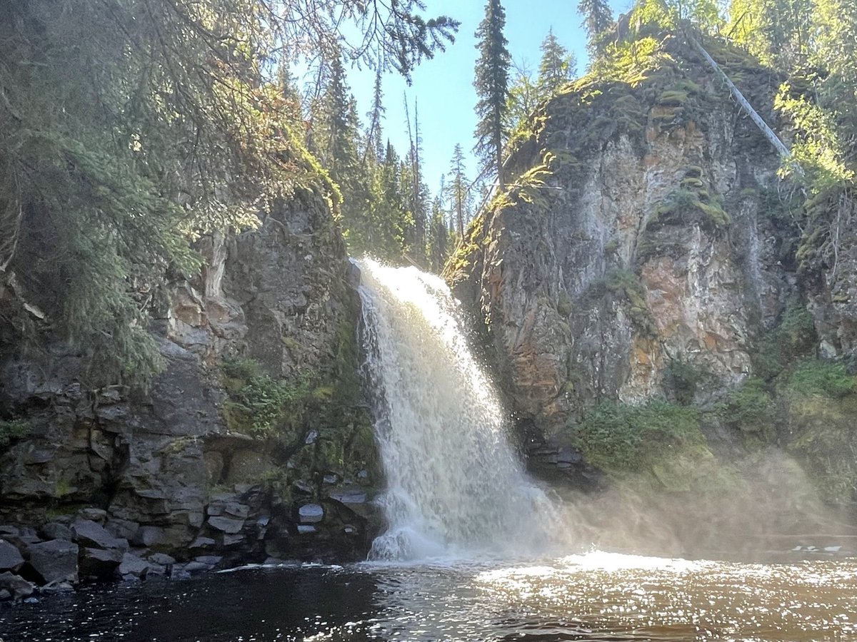 Matthew Pepper tweet media