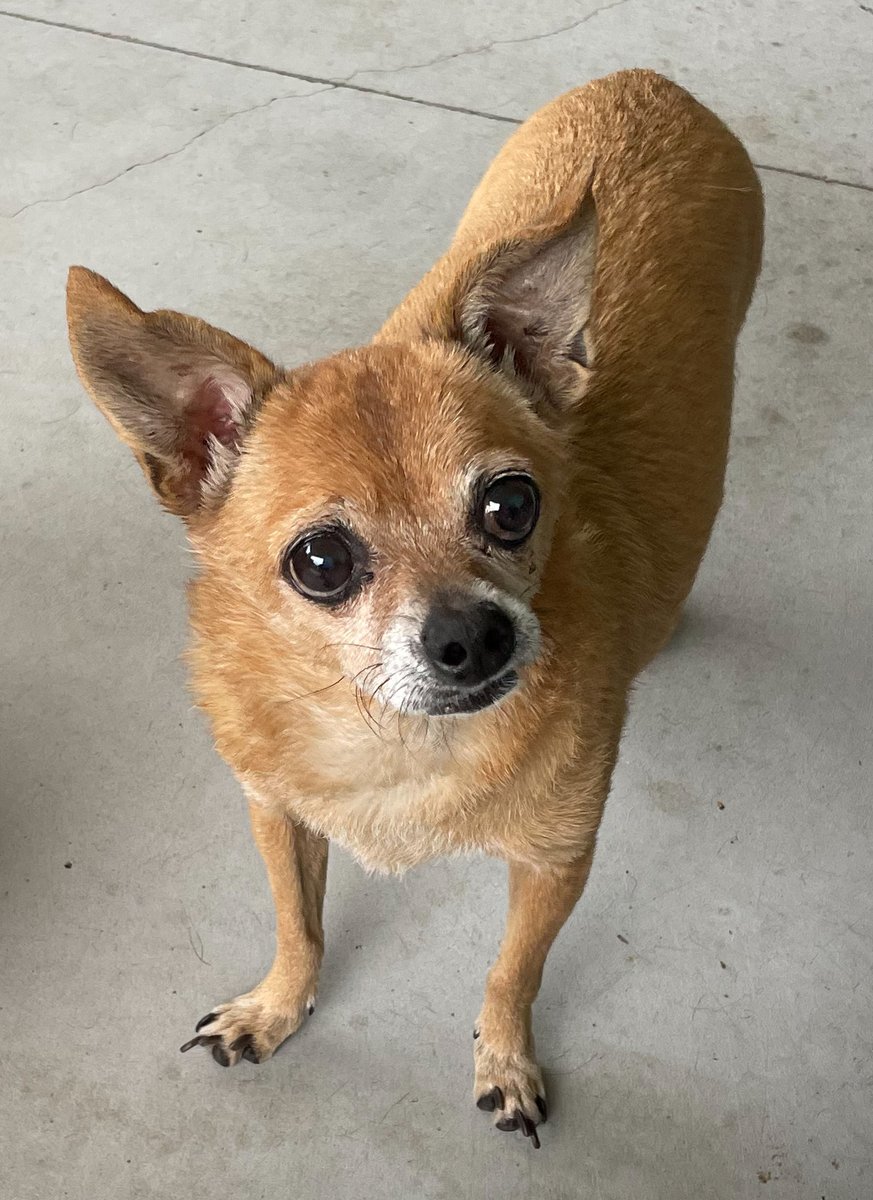 Gail Hand tweet media