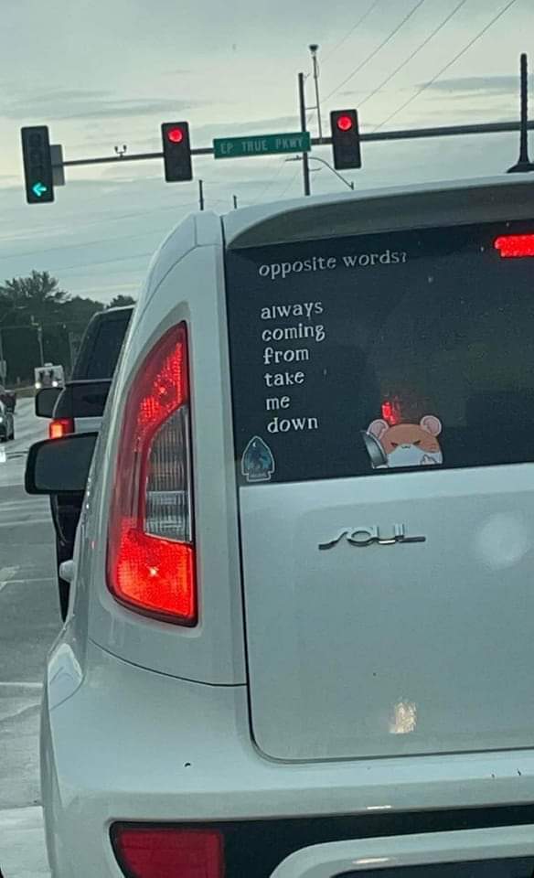 This. Get it?