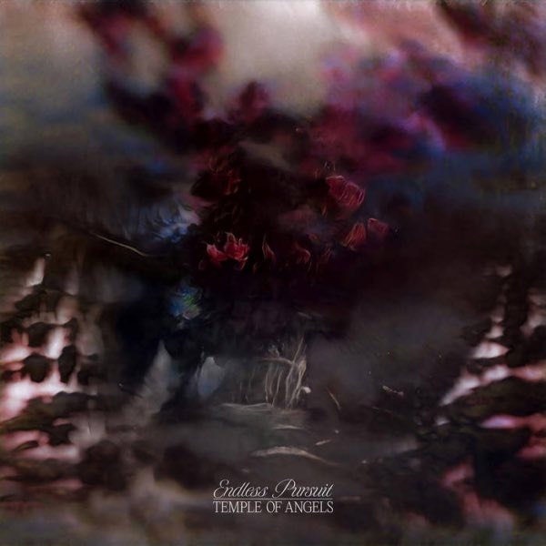 NicePlayMusic's tweet photo. 7/14金曜日にリリース予定の新譜②

・Mahalia – IRL
・Temple of Angels – Endless Pursuit
・Being Dead – When Horses Would Run
・Marc Ribot’s Ceramic Dog – Connection
・Sam Burton – Dear Departed
・Private Lives – Hit Record
・Snõõper – Super Snõõper https://t.co/qujYjxhD80