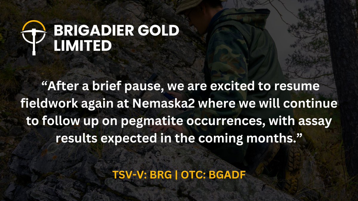 Brigadier Gold (TSXV:BRG, US:BGADF) tweet media