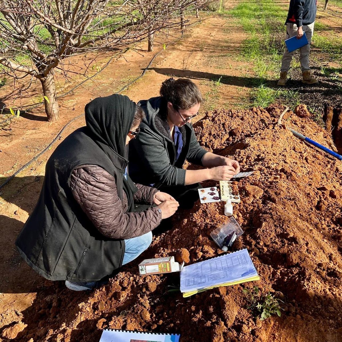 Meet our new agriculture manager Alina. Alina first became passionate about ag when growing up in Pakistan. She has many yrs of experience in industry &amp; much of that time involved working in post-conflict &amp; post-disaster recovery scenarios. Read more here: go.unimelb.edu.au/9phs
