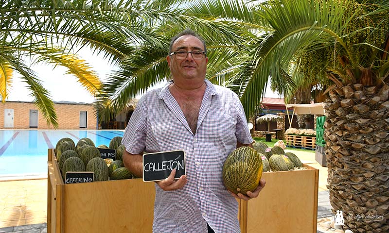 jaarcossanchez's tweet photo. 🆕Melón Callejón es el primer piel de sapo de #SemillasFitó para #Almería
✍️https://t.co/kuCwwRzYyX
📌Antonio Callejón es el responsable de ensayos de #campo de Fitó. Lleva 43 años vinculado a la empresa. De ahí que este nuevo #melón lleve su nombre
¡Enhorabuena!
#MelonShow🍈 https://t.co/t2okxm5DHD