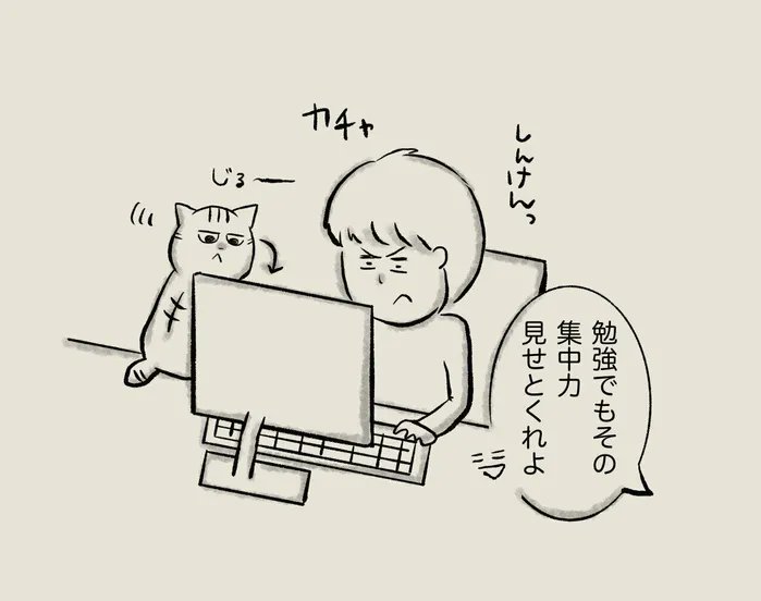 ゲームの世界にハマってしまった猫一匹【連載】交通事故にあった猫を拾いました#120|ねこのきもちWEB MAGAZINE 