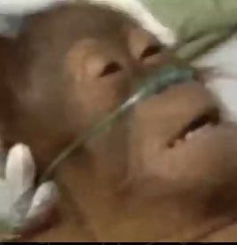 dennysqhh's tweet photo. Ahorita valorando la vida cuando no tenía gripe https://t.co/7gDcpkWIHx