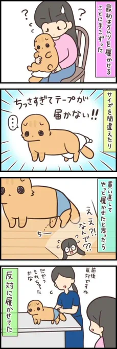 初めて試すことは何事も試行錯誤をしないといけない【連載】もふもふスコたん#285|ねこのきもちWEB MAGAZINE 