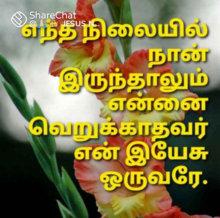 Raj tweet media
