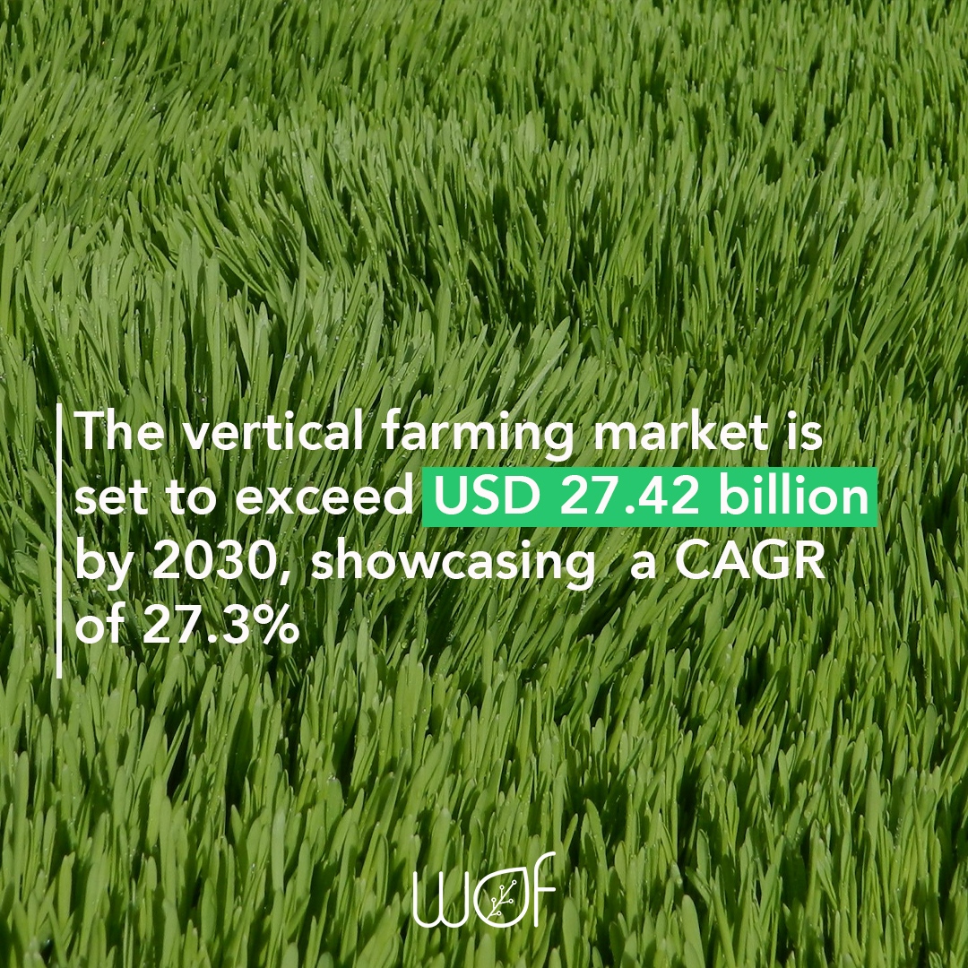 wof_agritech's tweet photo. The market is set to soar to new heights! According to a recent report, it is projected to reach a staggering USD 27.42 billion by 2030, showcasing a remarkable compound annual growth rate (CAGR) of 27.3%. 
Are you ready to join the green #revolution? Contact us! https://t.co/6Hehsuj9mb