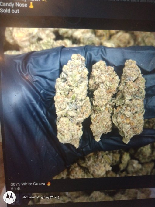 Taking all bulk and pre orders https://t.co/zjgz6rHJXB<a href="/tag/high"class="tags"><span>#high</span></a><a href="/tag/weed"class="tags"><span>#weed</span></a><a href="/tag/lit"class="tags"><span>#lit</span></a><a href="/tag/shrooms"class="tags"><span>#shrooms</span></a>