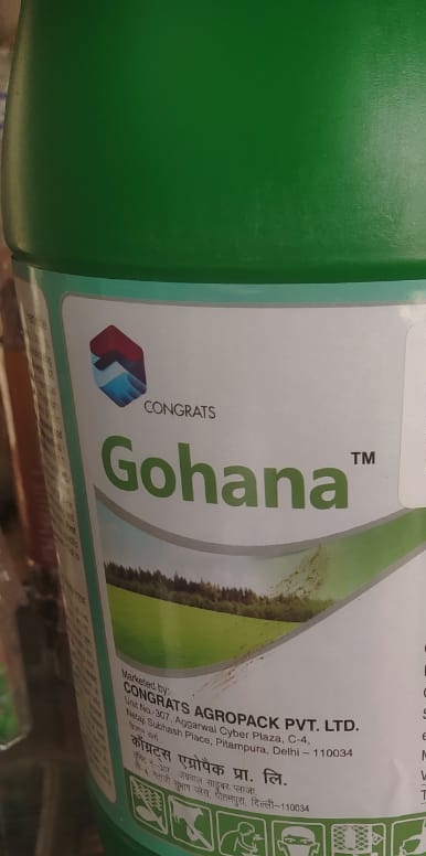 vvpatel0205's tweet photo. @CongratsAgro Where is buying GUHANA online..?? I was search many times but no one sell online.. plz share online buying website or any dealer address with contect number in KACHCHH Gujarat or near by any disctrict.. https://t.co/9CH2ra6BS9