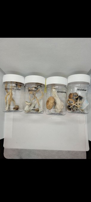 Bulk orders and preorders available #shrooms #weed #high #lit https://t.co/qcYZaI8z24<a href="/tag/shrooms"class="tags">#shrooms</a><a href="/tag/weed"class="tags">#weed</a><a href="/tag/high"class="tags"><span>#high</span></a><a href="/tag/lit"class="tags"><span>#lit</span></a>