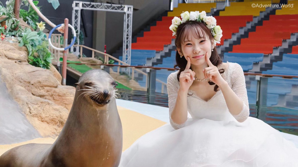 aws_official's tweet photo. ／
動物たちに祝福されながら始まる、
2人のStory♡
＼

#アドベンチャーワールド が贈るハッピーウェディングプラン #フォトウェディング

詳しくはコチラ
https://t.co/lcYDBDT7ka https://t.co/dhtRnBnB4n
