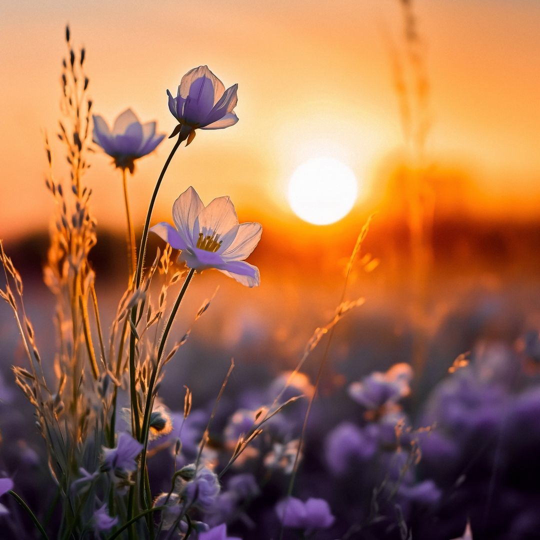 Shathi_Akter_'s tweet photo. If you really love nature,,,
But you will see its beauty everywhere. https://t.co/o7MXb1sUkJ