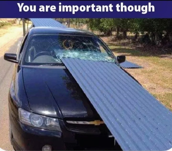 <a href="/zamakeupartist/">Ameribrit44</a>
<a href="/1seashells/">Michelle D. Boyce</a> 
<a href="/Violet_Isak/">💜Anggie🖤</a> 
Good day 👋👋At least it's only 1 more sleepie until Friday 💯💯 May you have a marvelous day ahead 🤗🤗
People who are having a lucky day🤞🤞