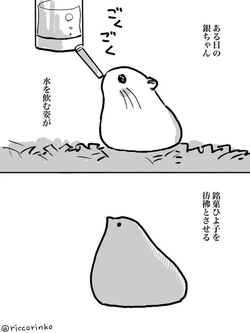 #日記  #ハムスター  #漫画が読めるハッシュタグ   #ひよ子 